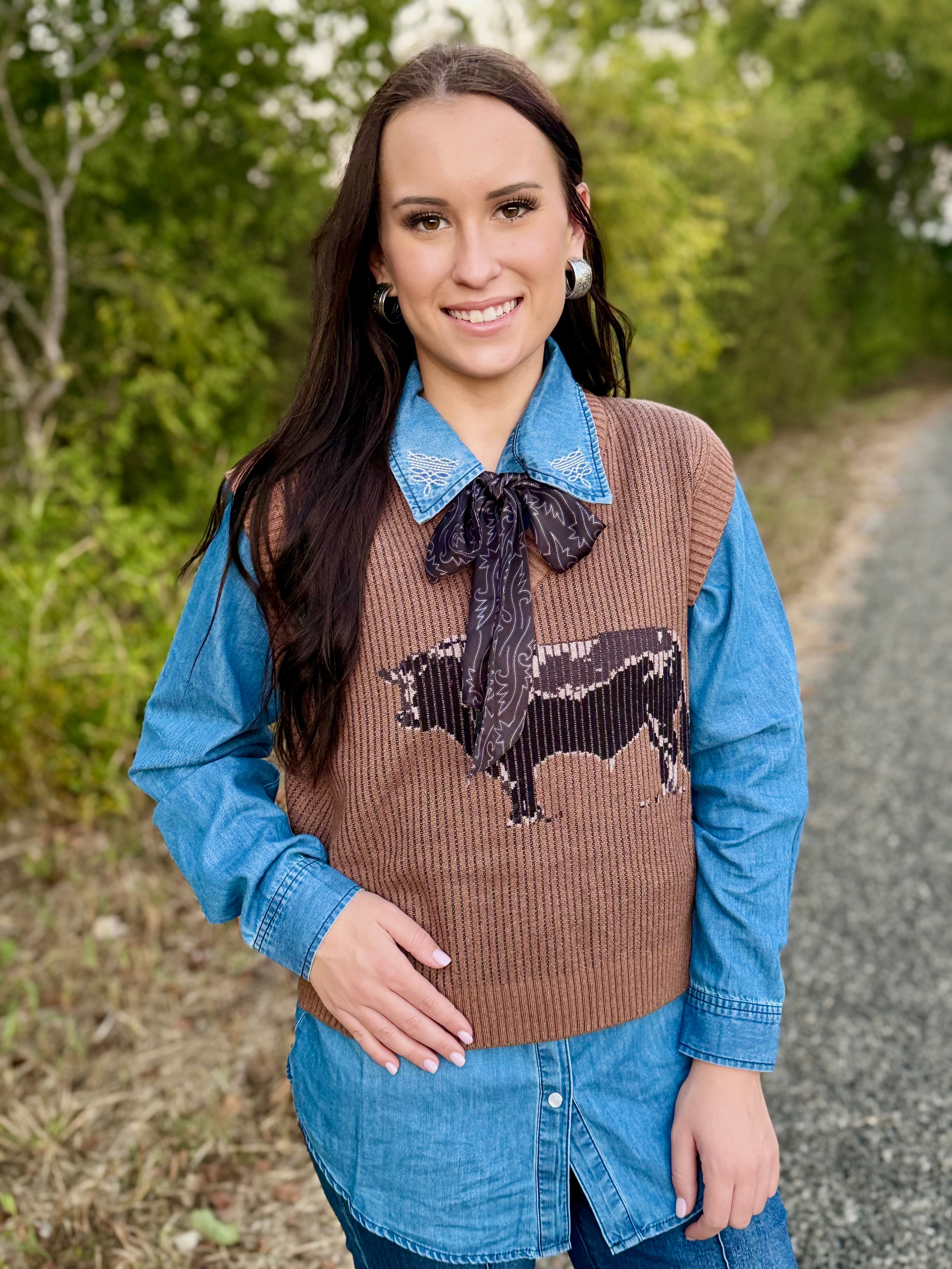 Andy Angus Sweater Vest – 2 Wild Indians