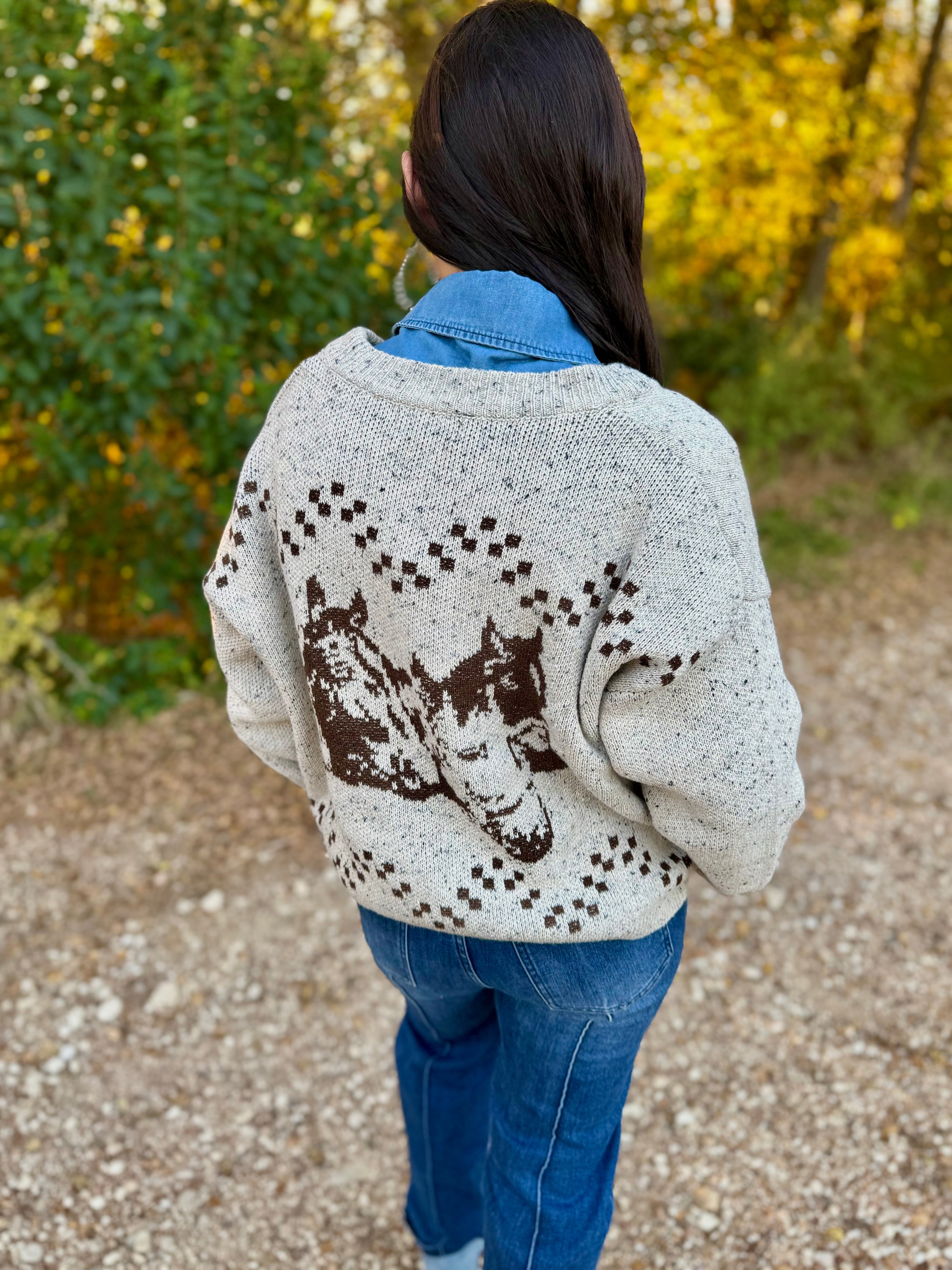 Brown Beige Horse Sweater
