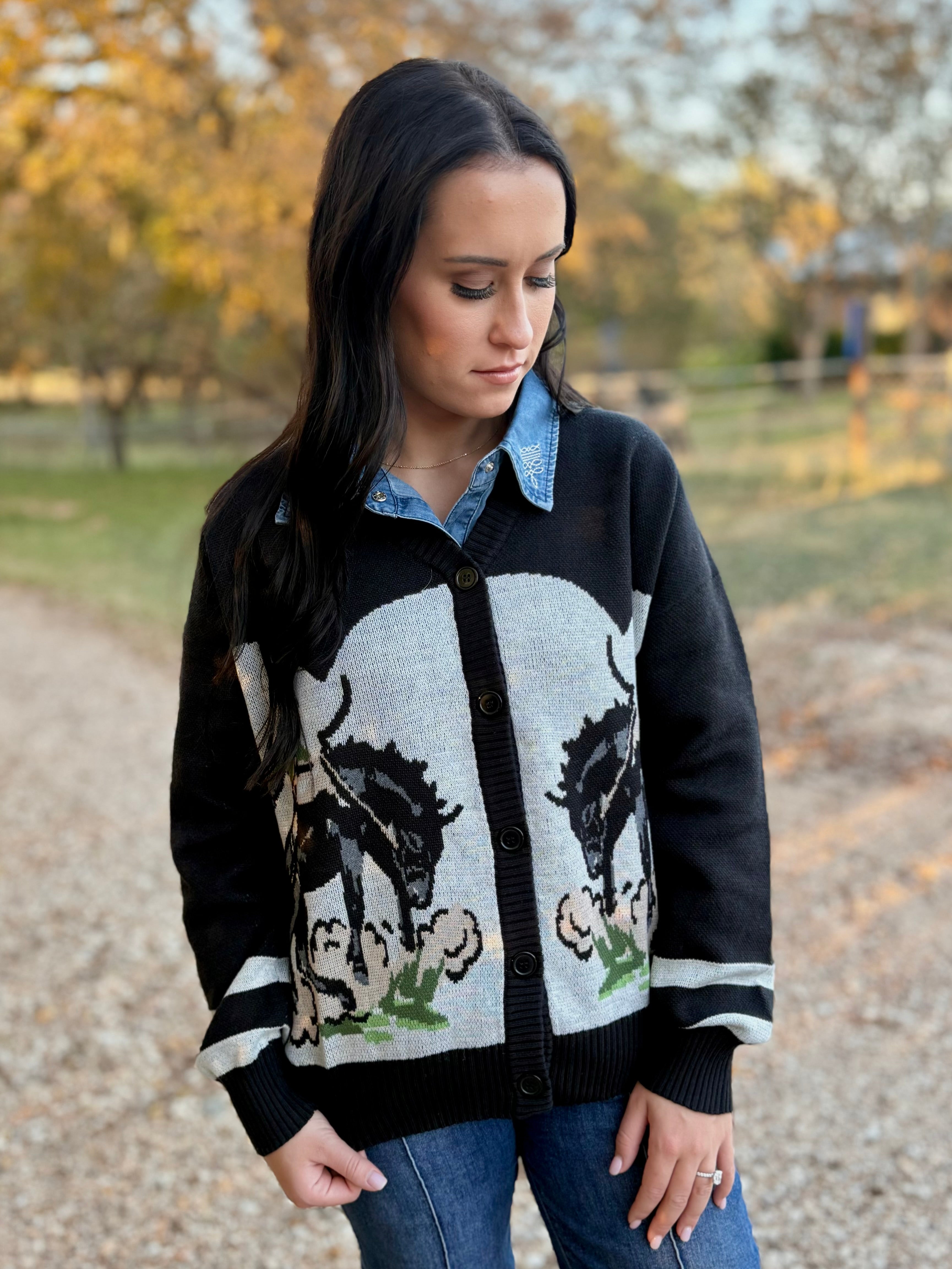 The Bronc Buster Sweater