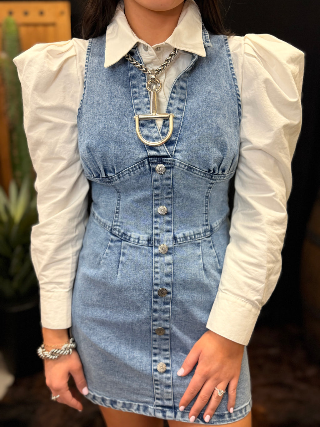 Prairie Lane Denim Dress