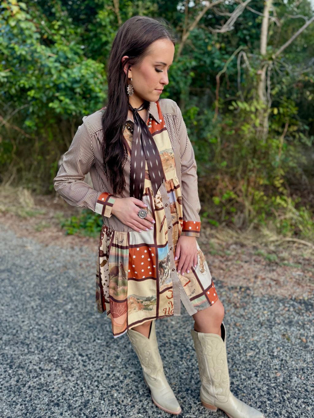 The Western Postcard Dress