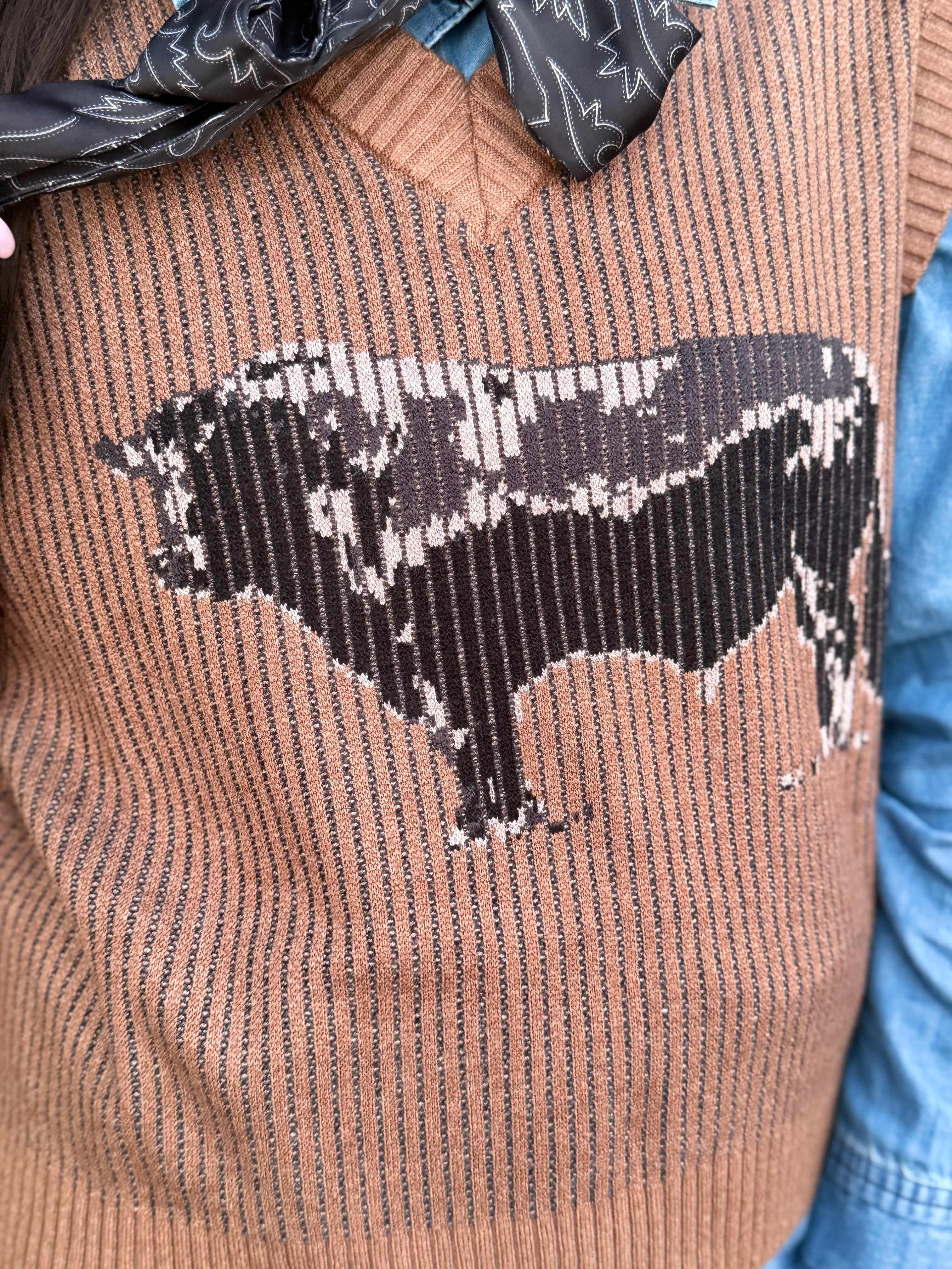 Andy Angus Sweater Vest