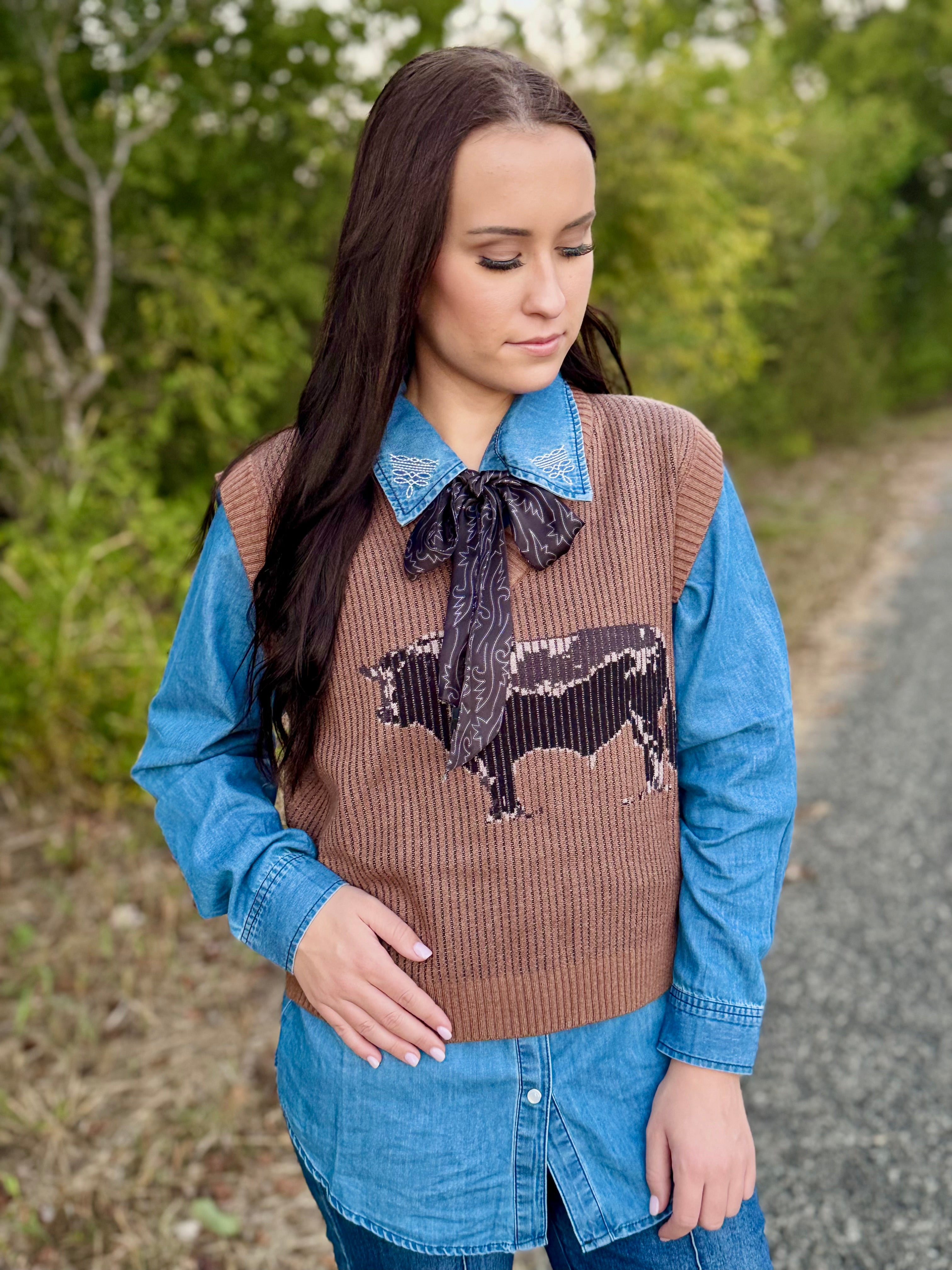 Andy Angus Sweater Vest