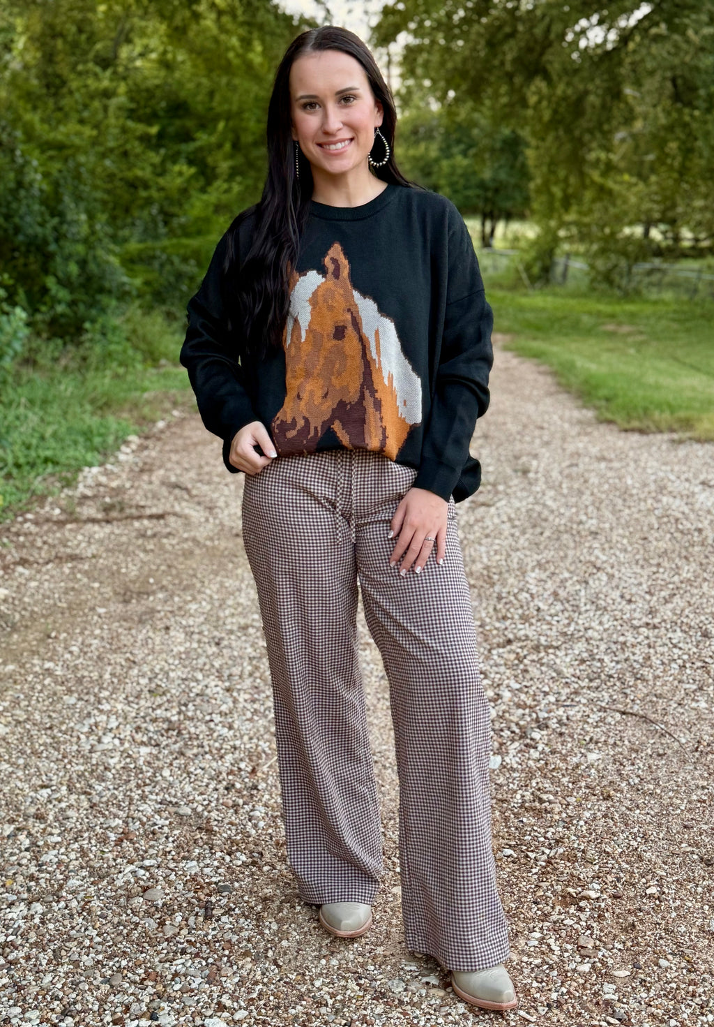 Black Palomino Horse Sweater