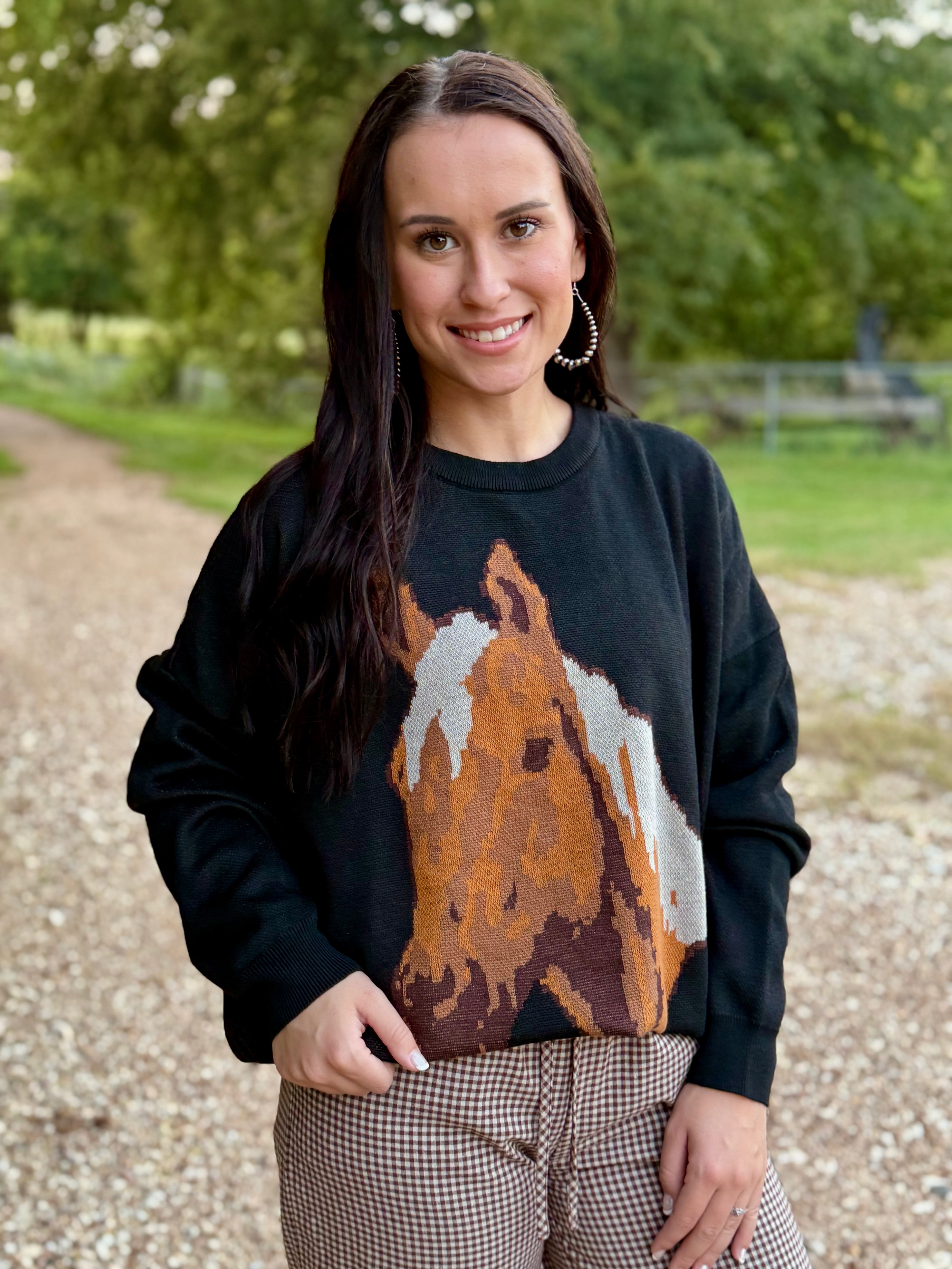 Black Palomino Horse Sweater