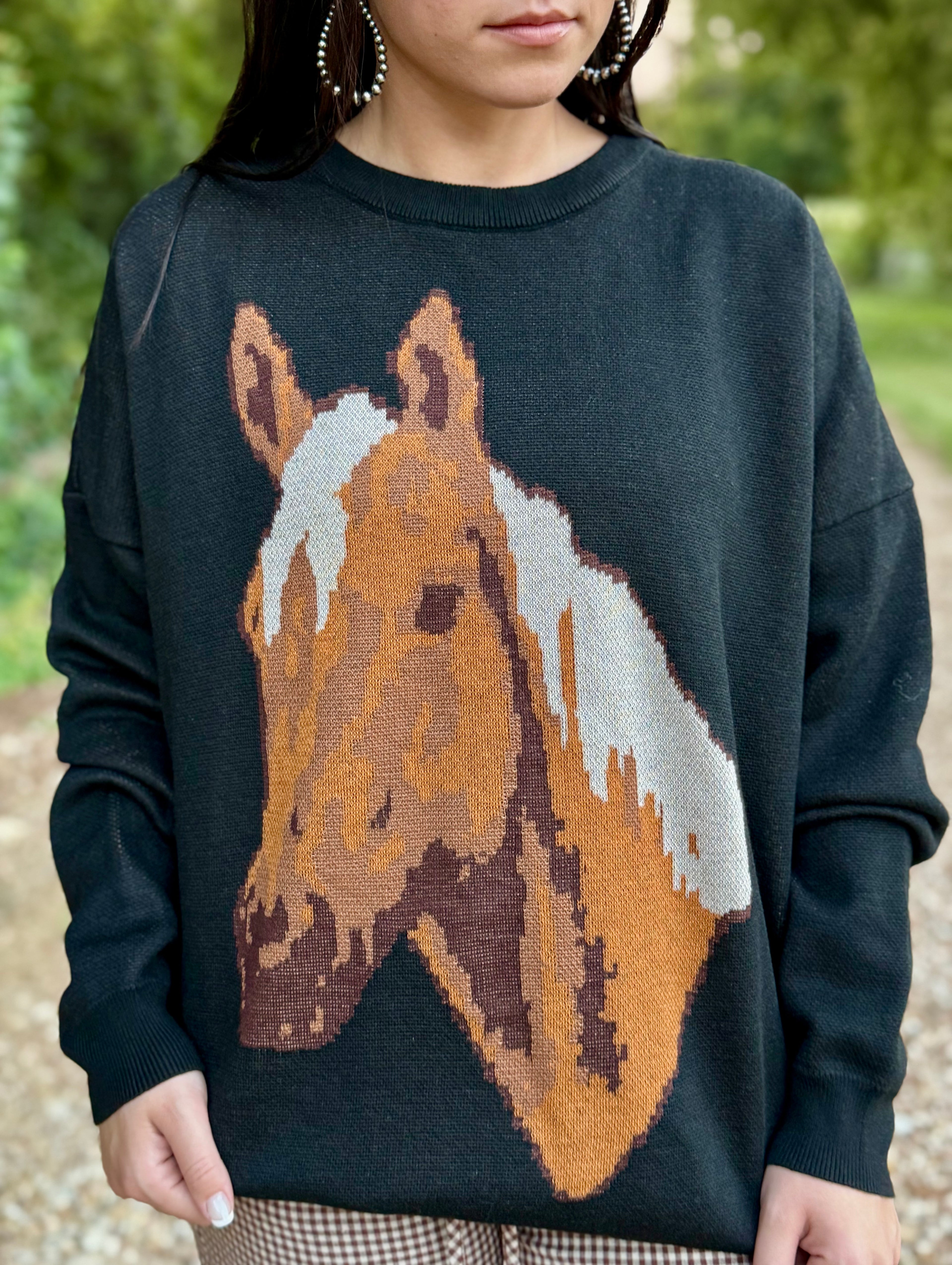 Black Palomino Horse Sweater