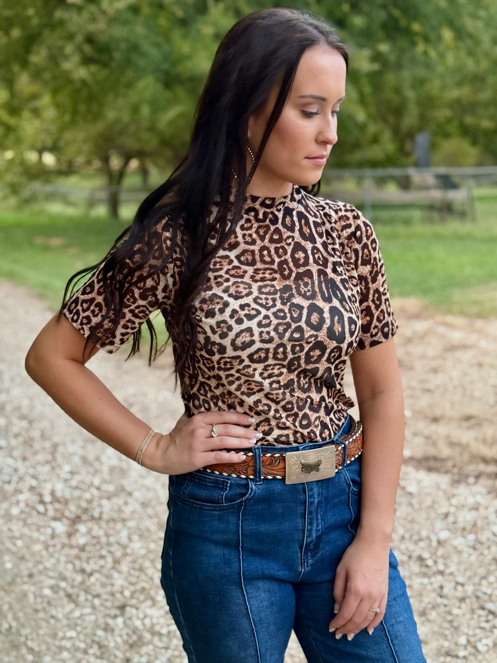 Cheetah Short Sleeve Mesh Top